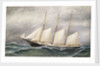 The schooner 'Robert Ingle Carter' by Solon Francis Montecello Badger