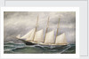 The schooner 'Robert Ingle Carter' by Solon Francis Montecello Badger