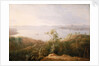 A bay on the south coast of New Holland, January 1802 by William Westall