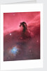 Horsehead Nebula (IC434) by Bill Snyder