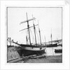 Schooner 'WML' by unknown