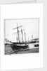 Schooner 'WML' by unknown