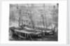 Pilot boats by unknown