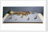 Topographic model, Port of Southampton by Kenneth Britten