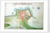 Channel Islands Survey: 'A ground platt from Mount Arguile' by Thomas Phillips