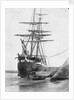 Brig and barque at low tide, Swansea by unknown