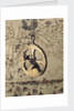 Mariner's astrolabe by unknown