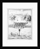 18th century diving apparatus by unknown