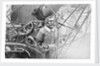 Figurehead of HMS 'Raleigh' (1873) by unknown