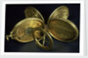Astronomical compendium, all leaves by Humphrey Cole