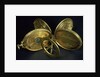 Astronomical compendium, all leaves by Humphrey Cole
