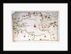 Portulan chart of the Atlantic by Pedro Reinel