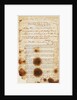Message found by the McClintock Expedition near Point Victory, North-West Coast of King William Island, detailing the fate of the Franklin Expedition by unknown