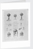 Advertisement by Newton & Son, London, (1841-1883) by unknown