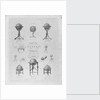 Advertisement by Newton & Son, London, (1841-1883) by unknown