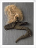 Nelson's pigtail by unknown