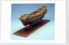 Navy Board skeleton model, port by unknown