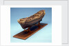Navy Board skeleton model, port by unknown