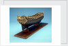 Navy Board skeleton model, starboard stern quarter by unknown