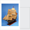 Ship of 38 guns, port by unknown