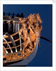 'Royal George', figurehead by Thomas Burroughs