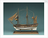 The 'Tartar' (1734) by unknown