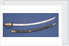 Light Cavalry-type sword by Read