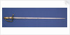 Honourable East India Company sword by unknown