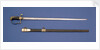 Stirrup hilted sword by Prosser