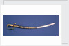 Royal Marines sword by unknown