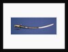 Royal Marines sword by unknown