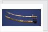Lloyds Patriotic Fund £100 Presentation Sword by R. Teed