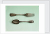 Fork and spoon relics of Sir John Franklin's last expedition by George Adams