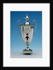 Tea-urn by Robert Salmon
