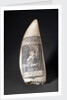 Scrimshaw whale tooth "The Sailor Boy" by unknown