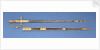 City of London presentation Sword by R. Rutherdon