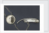 Silver presentation boatswain's call with a medallion commemorating the Blockade of Toulon. by Henry Croswell