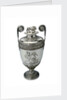 Trafalgar Vase by Digby Scott