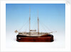 'Mavourneen', starboard broadside by Francis Meli