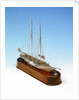 'Mavourneen', starboard by Francis Meli