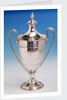 Cup by Charles Wright