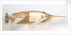 'Privateer', overhead deck view by J. A. Thompson