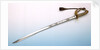 Solid half-basket hilted sword by unknown