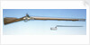 Flintlock musket by Unknown