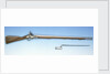 Flintlock musket by Unknown