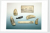 Engraved sperm whale's tooth by unknown