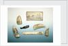 Engraved sperm whale's tooth by unknown