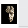 Plaster cast of  Nelson's face made in 1800 (Life mask) by unknown