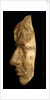 Plaster cast of  Nelson's face made in 1800 (Life mask) by unknown
