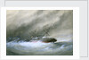 Wreck of the Royal Mail 'Rhone' by William Frederick Mitchell